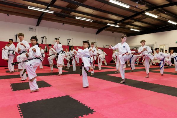 Proaction Martial Arts & Fitness
